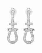 Crystal Loop Drop Earrings
