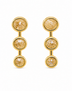 Champagne Cascade Earrings