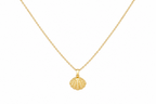 Seashell Whisper Necklace
