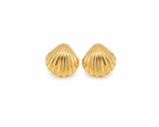Golden Seashell Studs