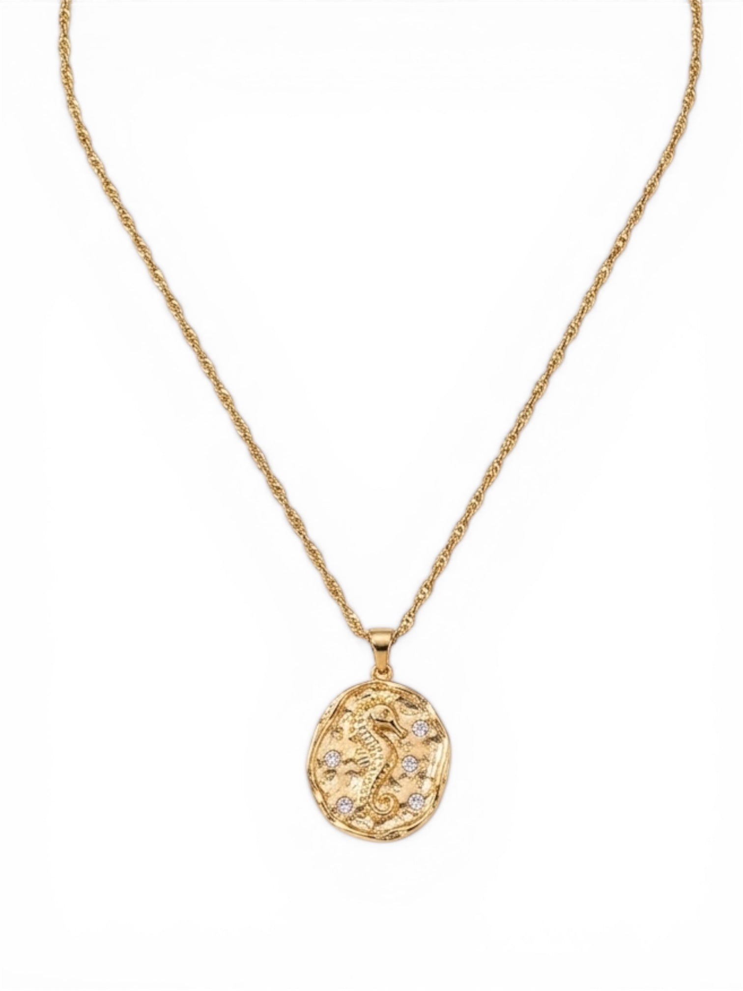 Seahorse Medallion